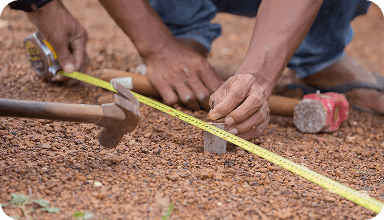 Humanitarian Response